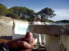 Domino là các cô xec ...
